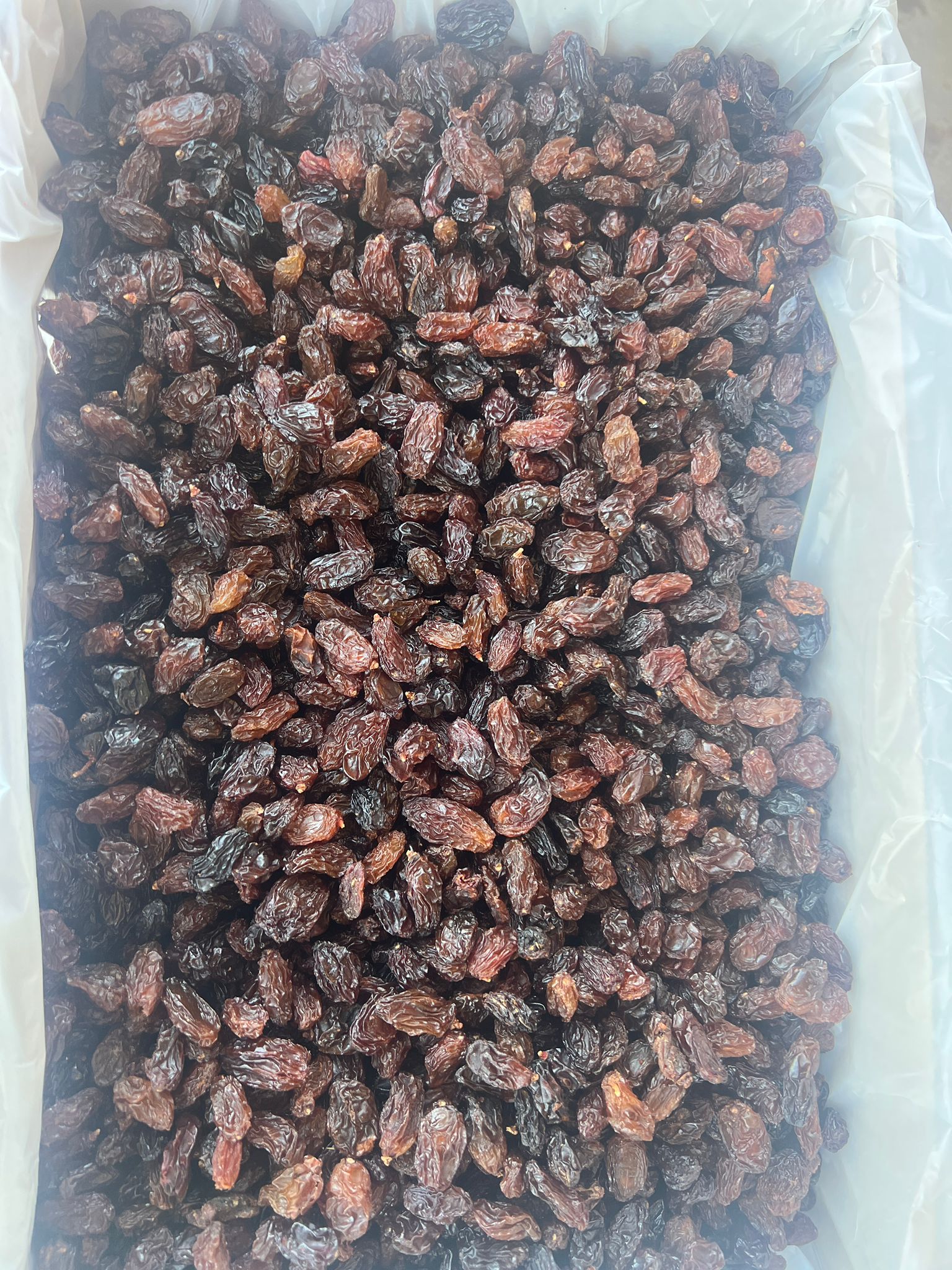 Premium organic dried grapes (raisins) in bulk container